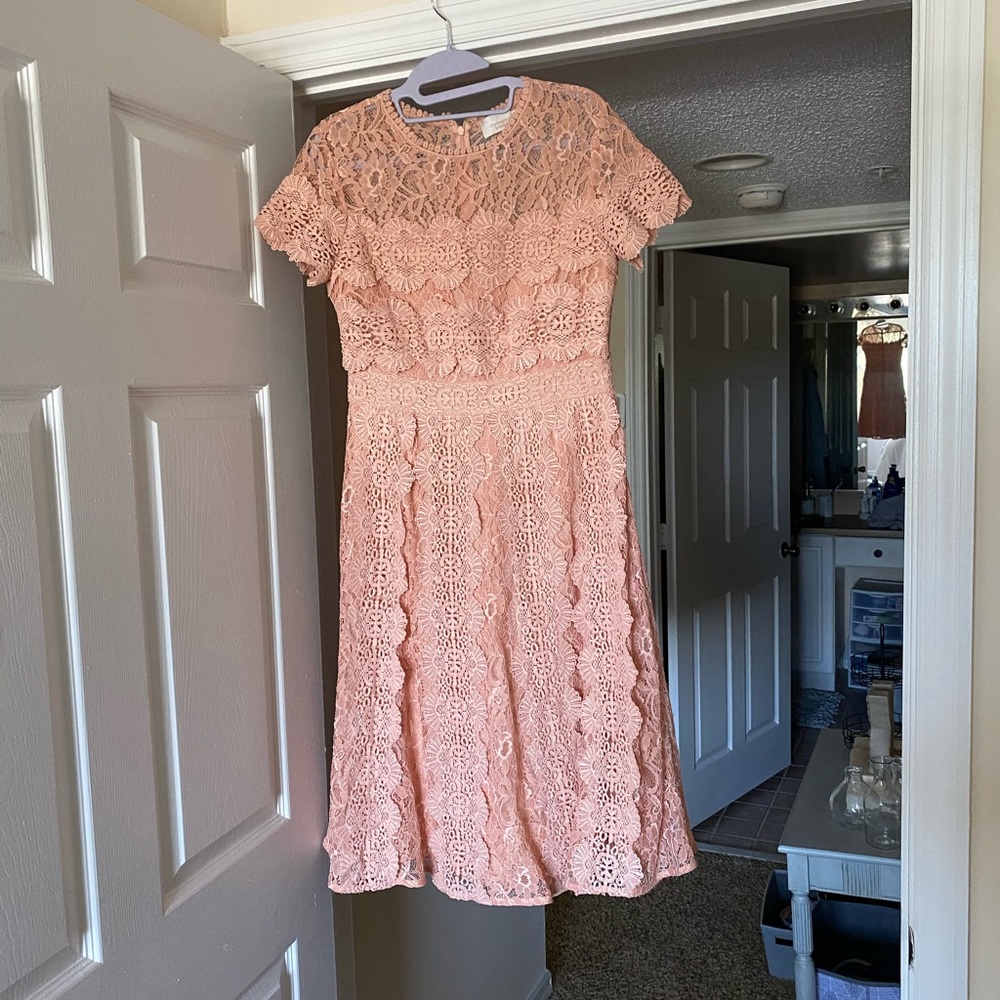 Blush Pink Midi Lace Dress